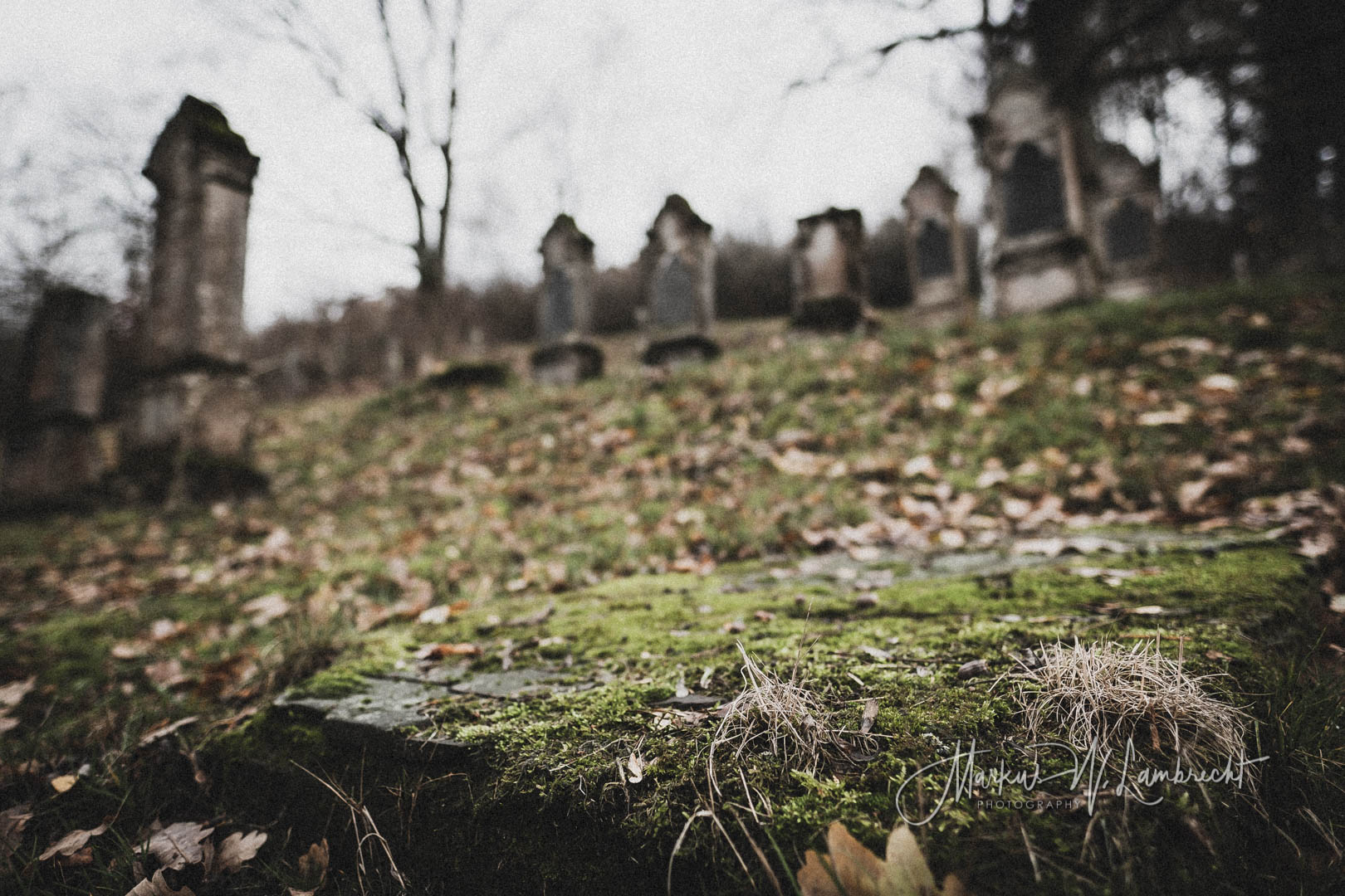 Merxhausen (Heinade), Jüdischer Friedhof